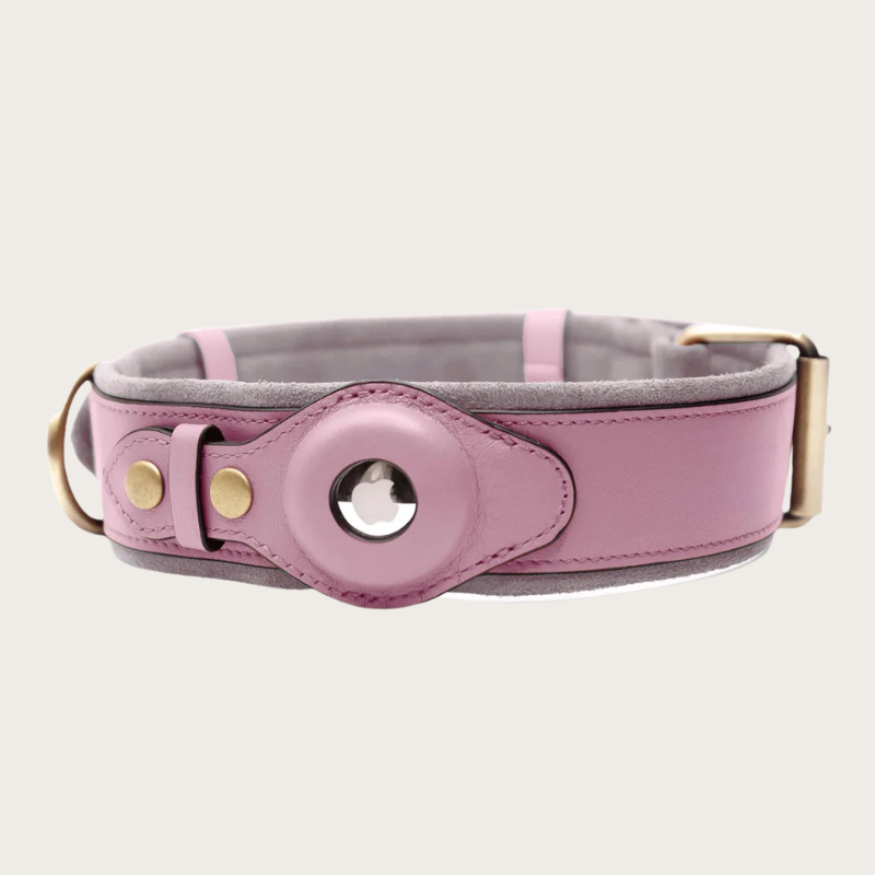 LOK8™ AirTag Hunde-Halsband