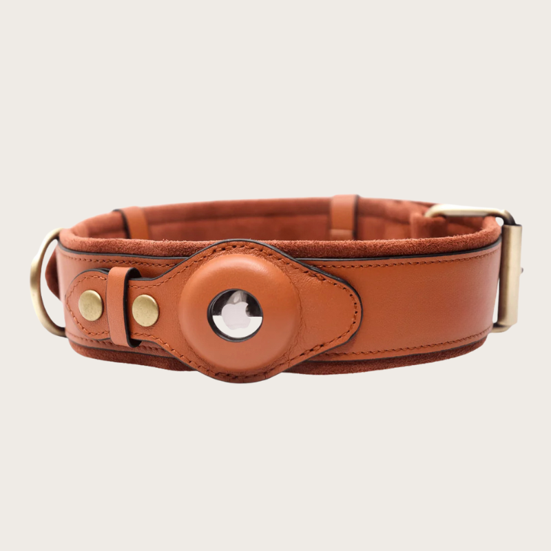 LOK8™ AirTag Hunde-Halsband