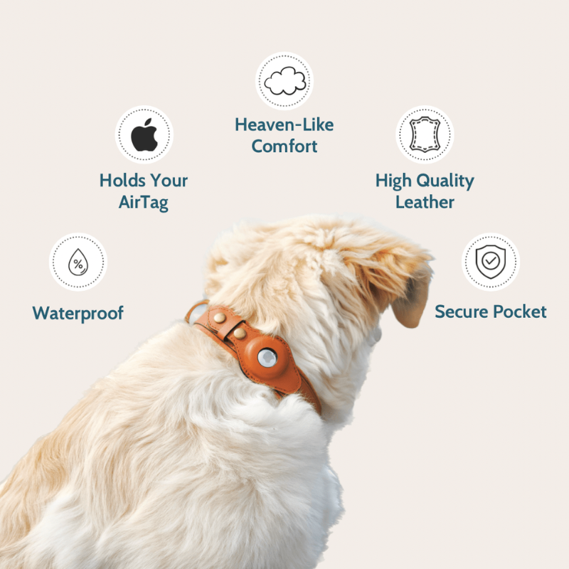 LOK8™ AirTag Hunde-Halsband