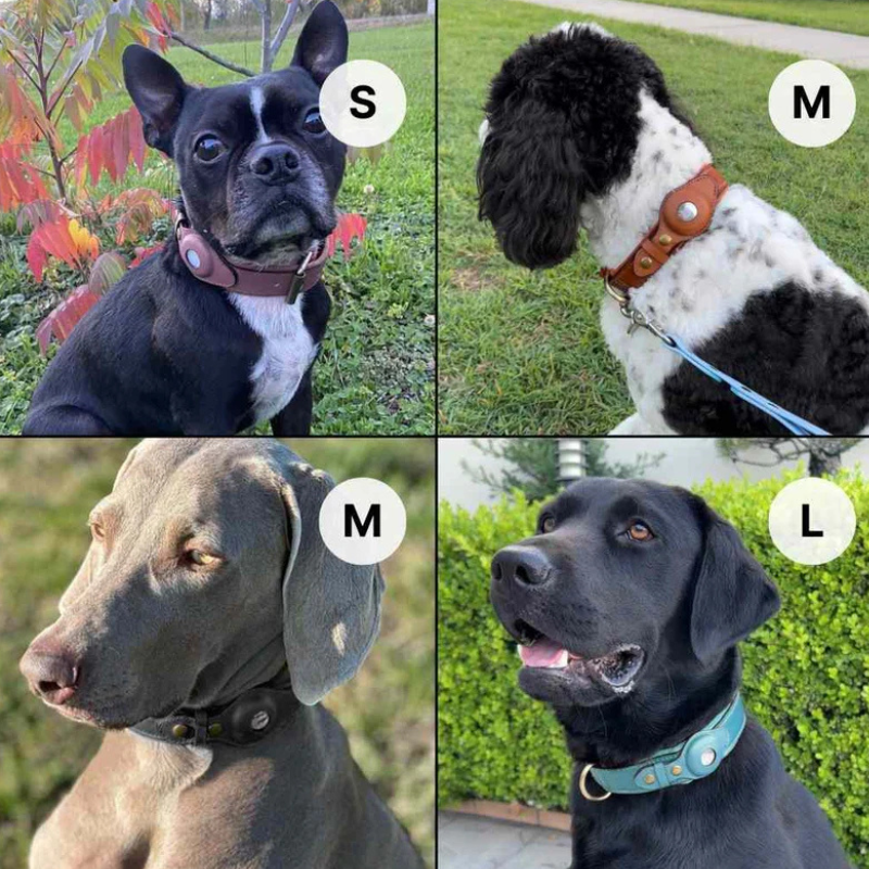 LOK8™ AirTag Hunde-Halsband