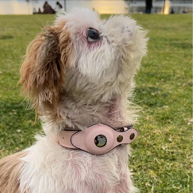 LOK8™ AirTag Hunde-Halsband